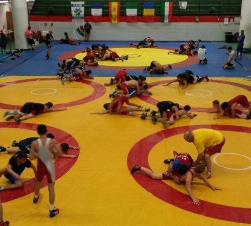 Lotta olimpica over 12